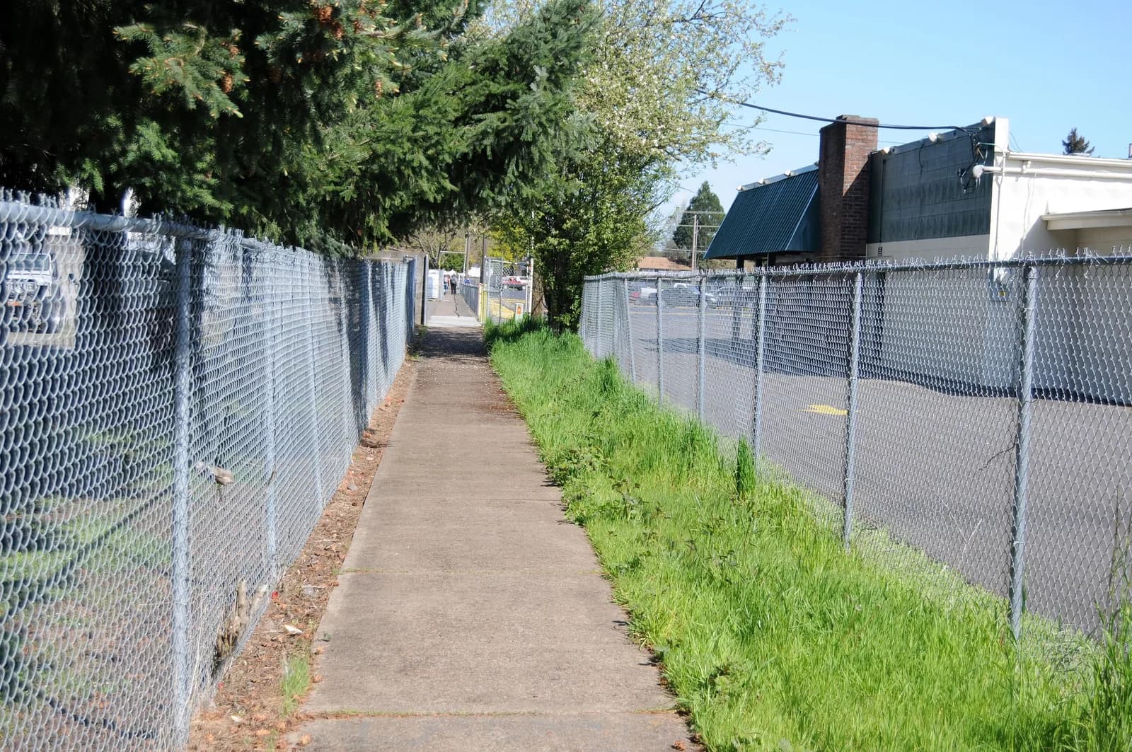 Chain Link Fences