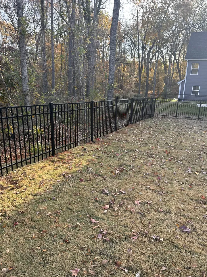 Black aluminum fence along a wooded backyard.