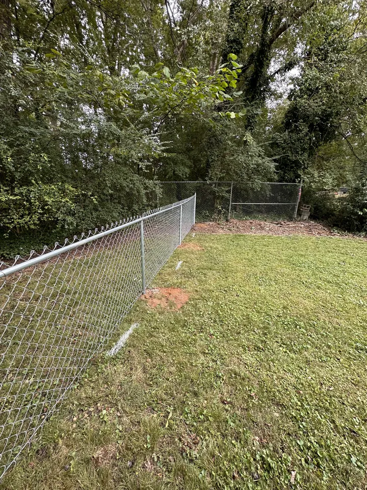 Galvanized chain link fence along a wooded backyard.