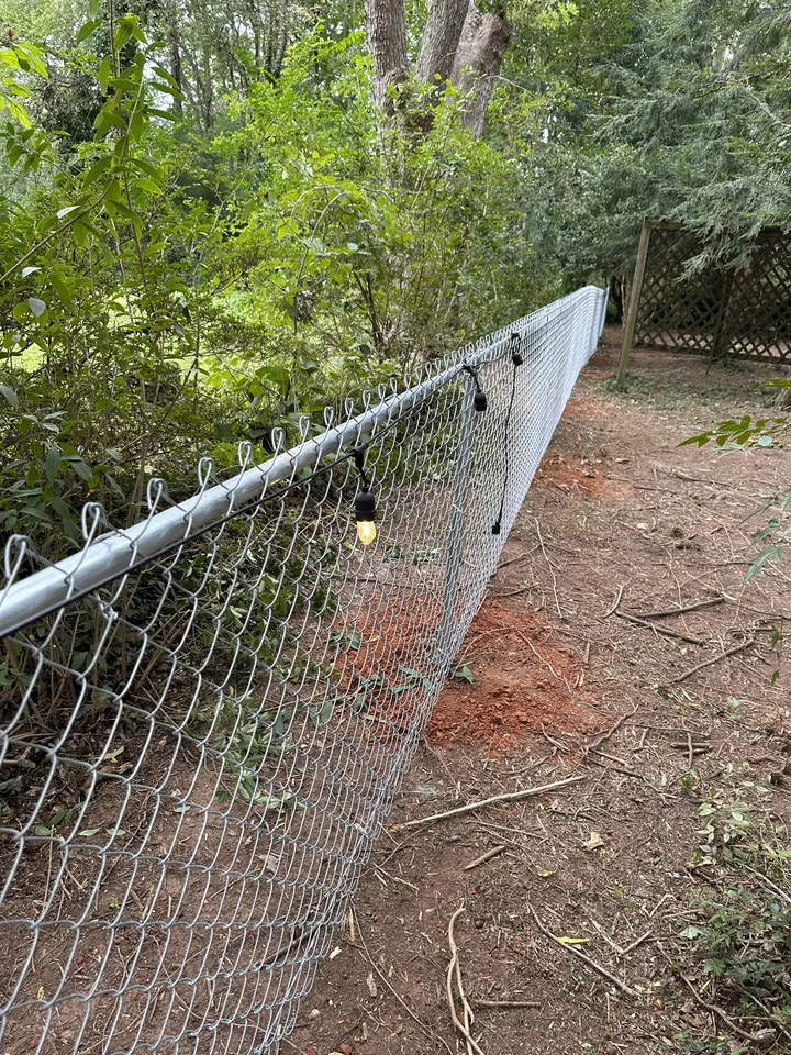 Galvanized chain link fence along a wooded property line.