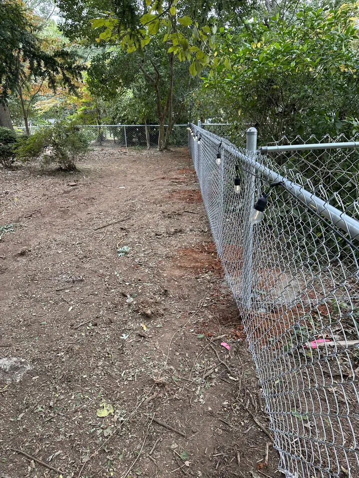 Galvanized chain link fence along a cleared backyard.