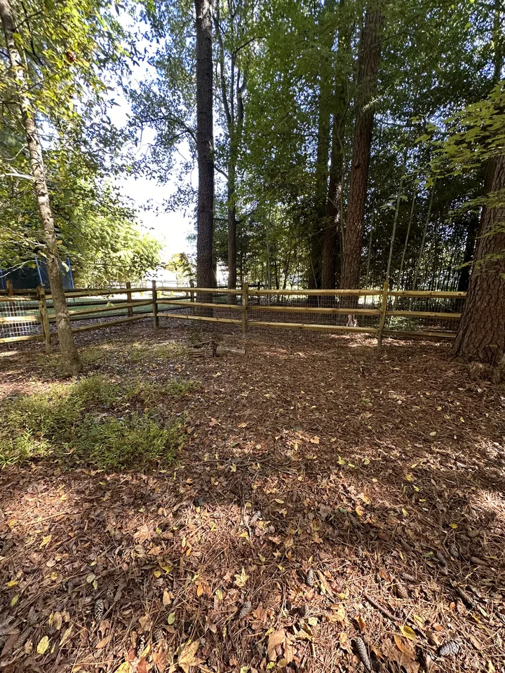 Wood split rail fence enclosing a wooded backyard.