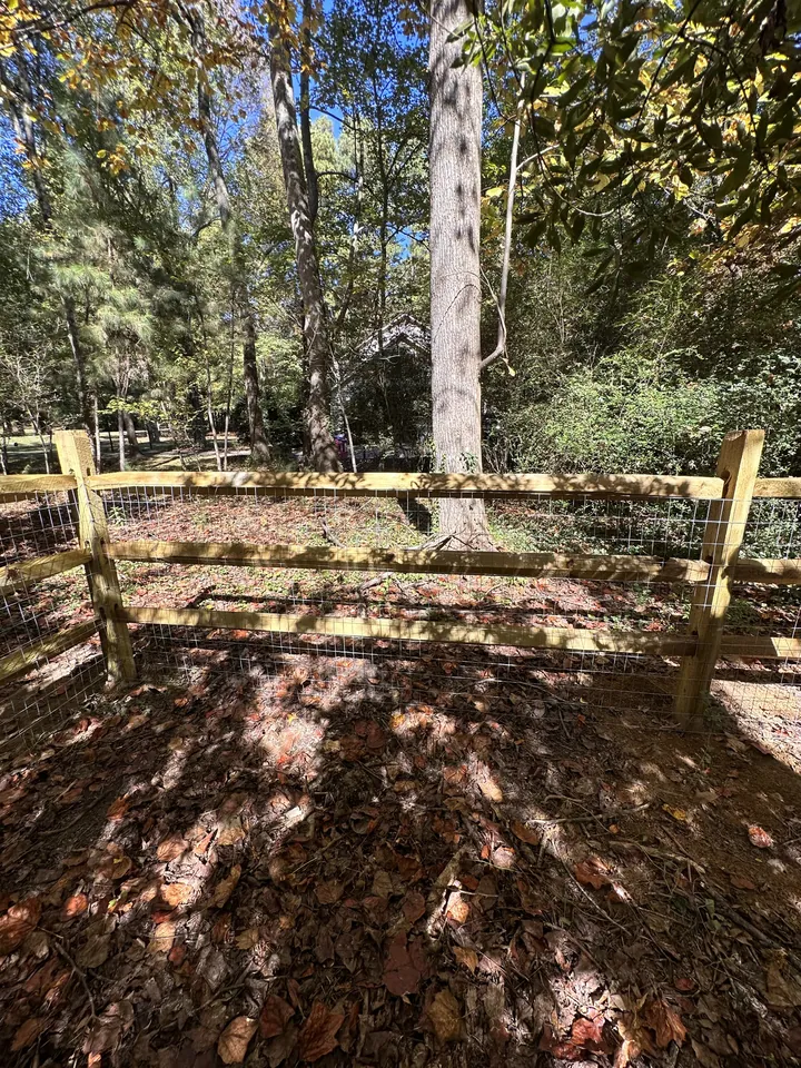 Wood split rail fence corner in a sunny wooded yard.