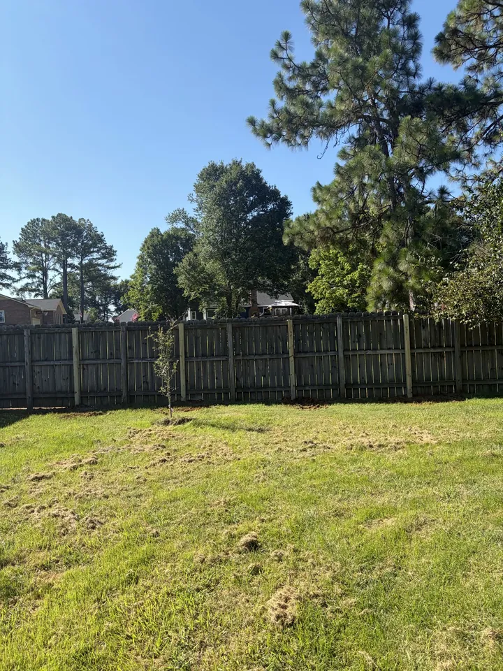 Dark stained wood privacy fence along a backyard.