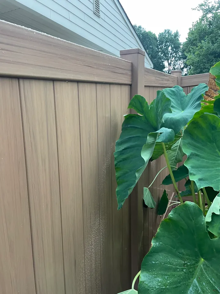 Tan vinyl privacy fence behind a large leaf plant.