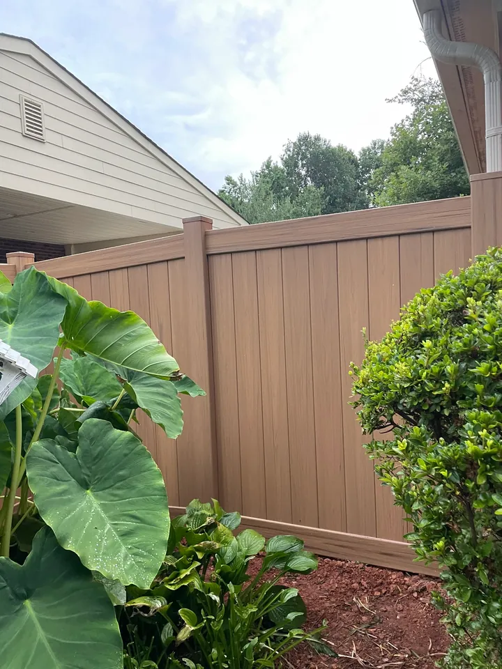 Tan vinyl privacy fence behind elephant ear plants.