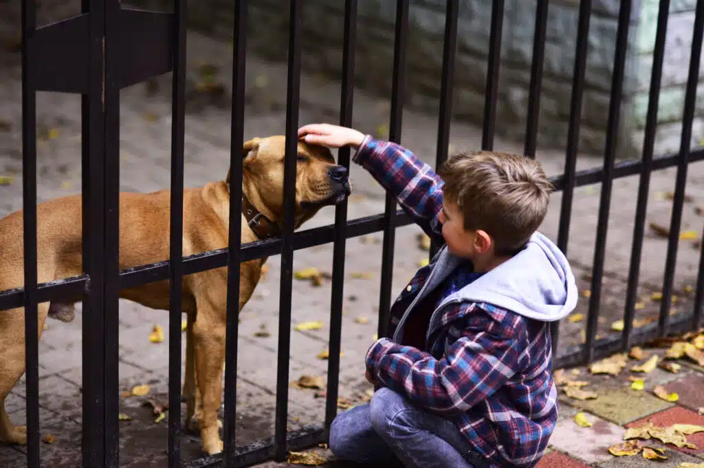 Fencing for Pets & Kids: Keep Your Family Safe and Secure with Hoff - The Fence Contractors